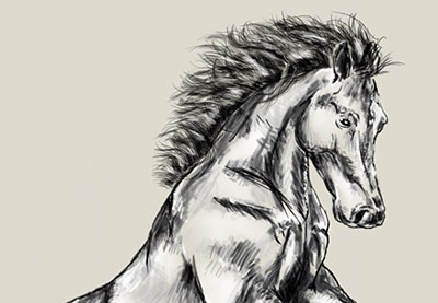 Digital Drawing 101: Drawing Animals