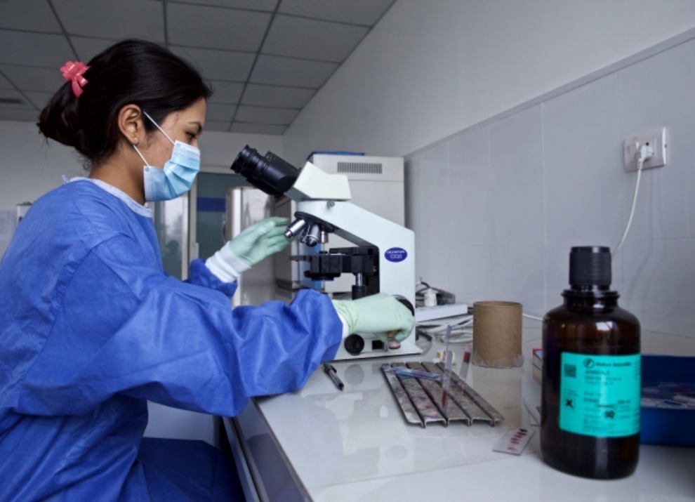 Medical Lab Technologist Working