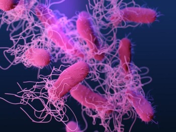 microscopic view of virus