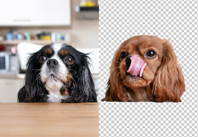 How to remove a background from a picture