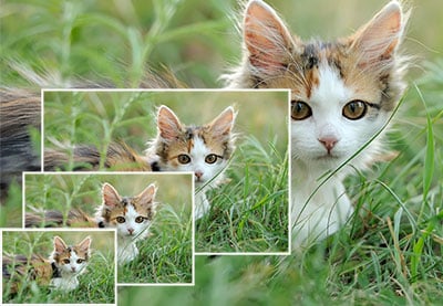 How to resize an image in Photoshop